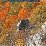 Золотая осень в Жигулях фото Г.Лебедевой р
