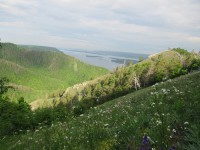 Стрельная гора летом. Фото Егоровой В.
