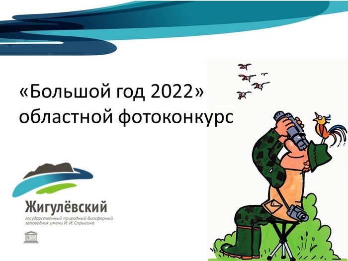 «Большой год 2022»  завершен