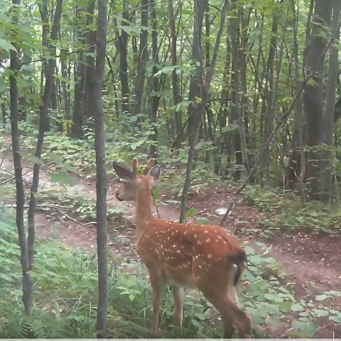 snapedit_1753776836137