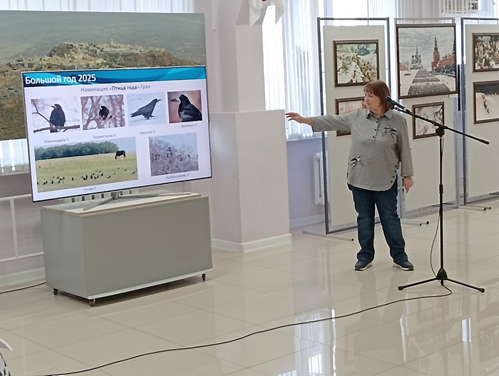 YkfTNfikQu67znsGOrVW8br8RFgEVrLHWJC_J9KjQJnNfR_AYHkFNZ5UKvRY0adRs-vaKEEcg-y6XXiHBX0t97sm