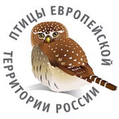 logo180x180