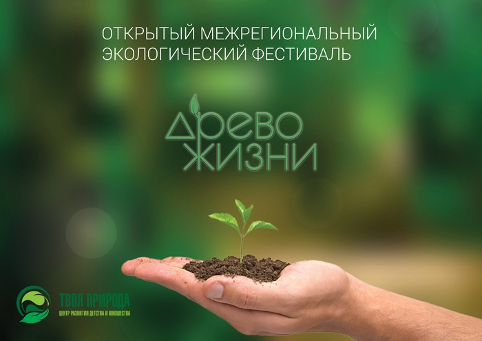 презентация jpeg1