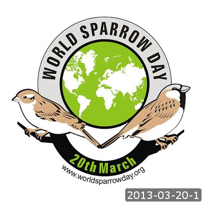 2013-03-20-1