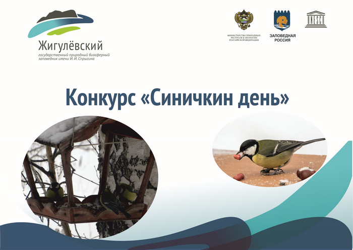 Синичкин день альбом