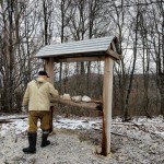 В Жигулевском заповеднике обновили солонцы