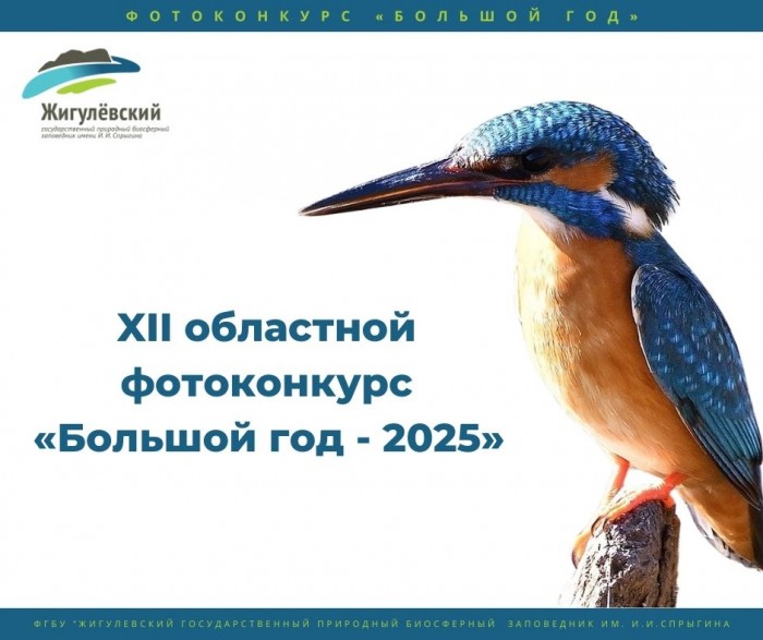 фотоконкурс “Большой год” (2)