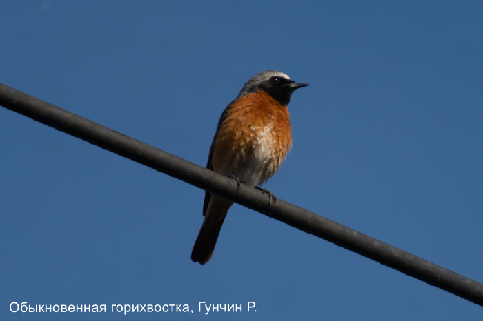 Фотоконкурс «Большой год —  2025»