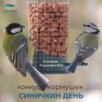 -rGFKYW-7JX1_CB0YN511q6LsmjfBkx4N2i_3e7enc13i7r2bfLlHwYc3GJmo4tLlV0wxZ9cM7SuHKJMTvmrxLbo