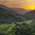 Жигулевский заповедник на сайте «Дикая природа России»!