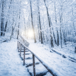 О порядке посещения туристских маршрутов на территории Жигулёвского заповедника