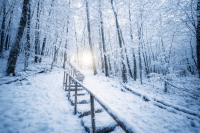 c333c425-89df-4b7e-b7ae-56624562cbed