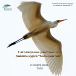 Подведение итогов фотоконкурса «Большой год — 2025»